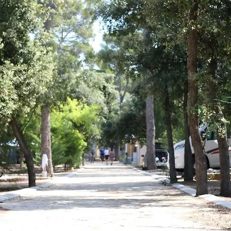 Stella Marina Soline